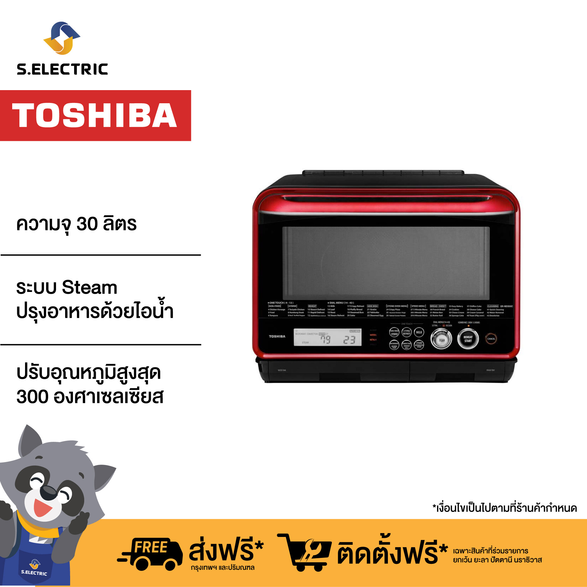 Toshiba, ER-ND300C(R)